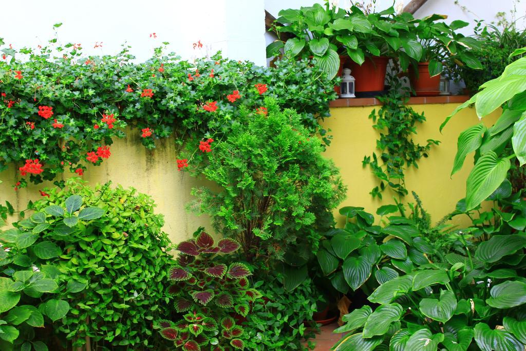 Hostal Escartín Sabiñánigo Exterior foto