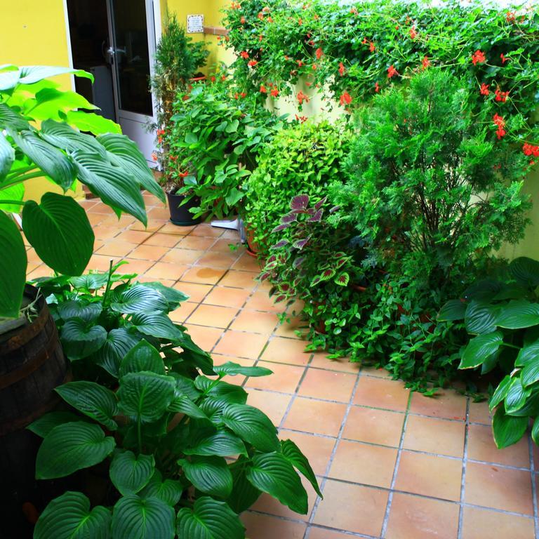 Hostal Escartín Sabiñánigo Exterior foto